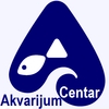 Avatar člana